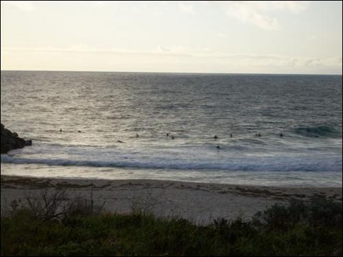 Surfing na Cottesloe Beach