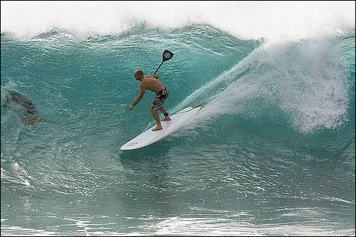 Scott McKercher SUp'uje na Cabo Verde - Punta Preta