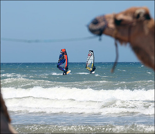 Sieplywa.pl - Windsurfing, Kitesurfing i Surfing w najlepszym wydaniu