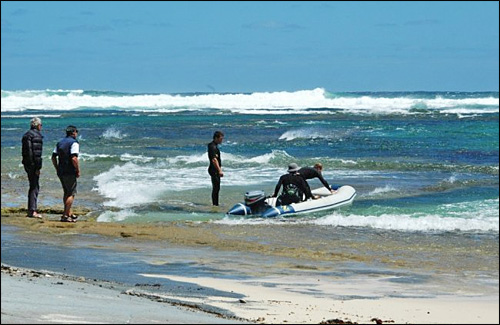 Sieplywa.pl - Windsurfing, Kitesurfing i Surfing w najlepszym wydaniu