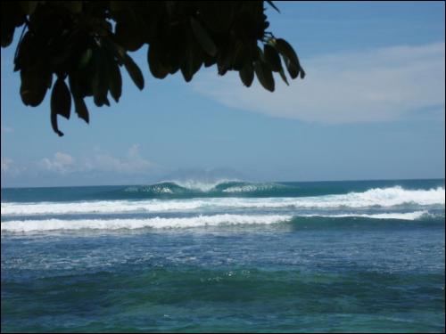 Sieplywa.pl - Windsurfing, Kitesurfing i Surfing w najlepszym wydaniu