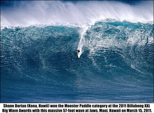 Rider : Shane Dorian