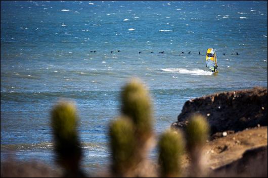 Sieplywa.pl - Windsurfing, Kitesurfing i Surfing w najlepszym wydaniu