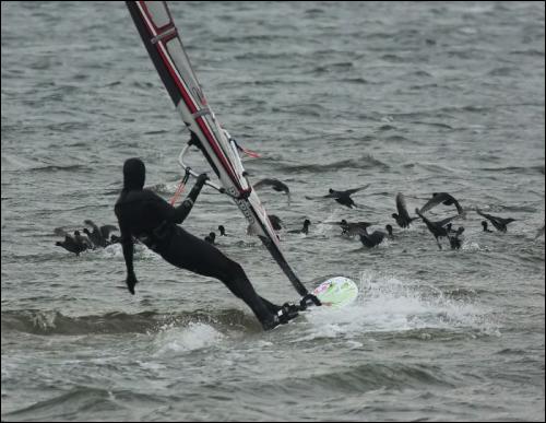 Sieplywa.pl - Windsurfing, Kitesurfing i Surfing w najlepszym wydaniu