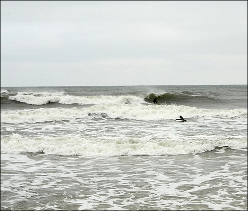 Sieplywa.pl - Windsurfing, Kitesurfing i Surfing w najlepszym wydaniu