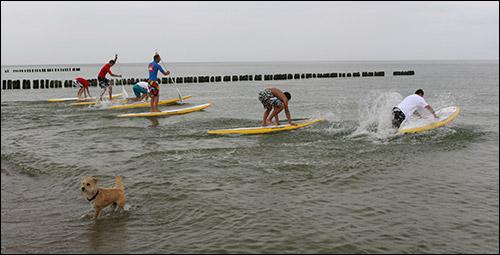 Sieplywa.pl - Windsurfing, Kitesurfing i Surfing w najlepszym wydaniu