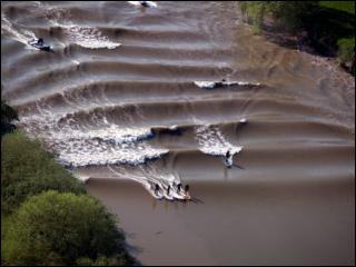 Severn fala bore