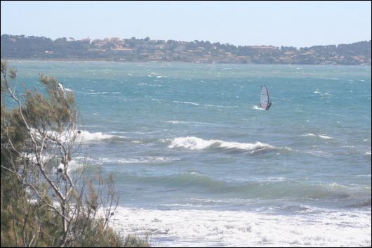 Sieplywa.pl - Windsurfing, Kitesurfing i Surfing w najlepszym wydaniu