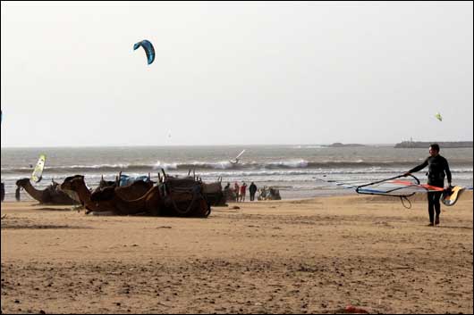 Sieplywa.pl - Windsurfing, Kitesurfing i Surfing w najlepszym wydaniu