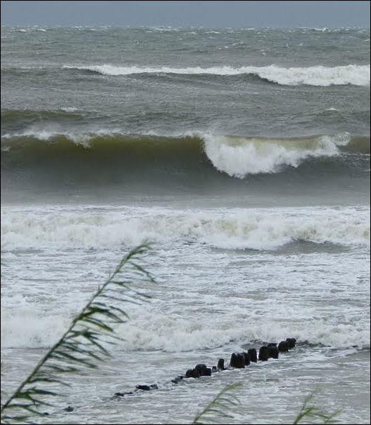 Sieplywa.pl - Windsurfing, Kitesurfing i Surfing w najlepszym wydaniu