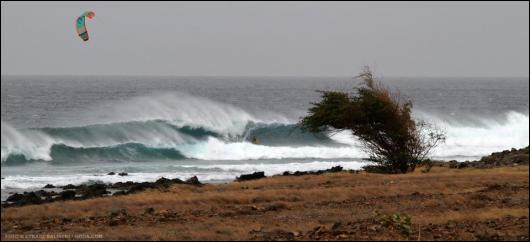 Sieplywa.pl - Windsurfing, Kitesurfing i Surfing w najlepszym wydaniu