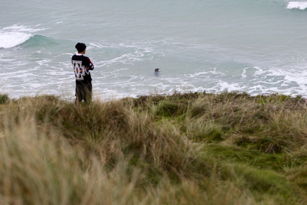 Sieplywa.pl - Windsurfing, Kitesurfing i Surfing w najlepszym wydaniu