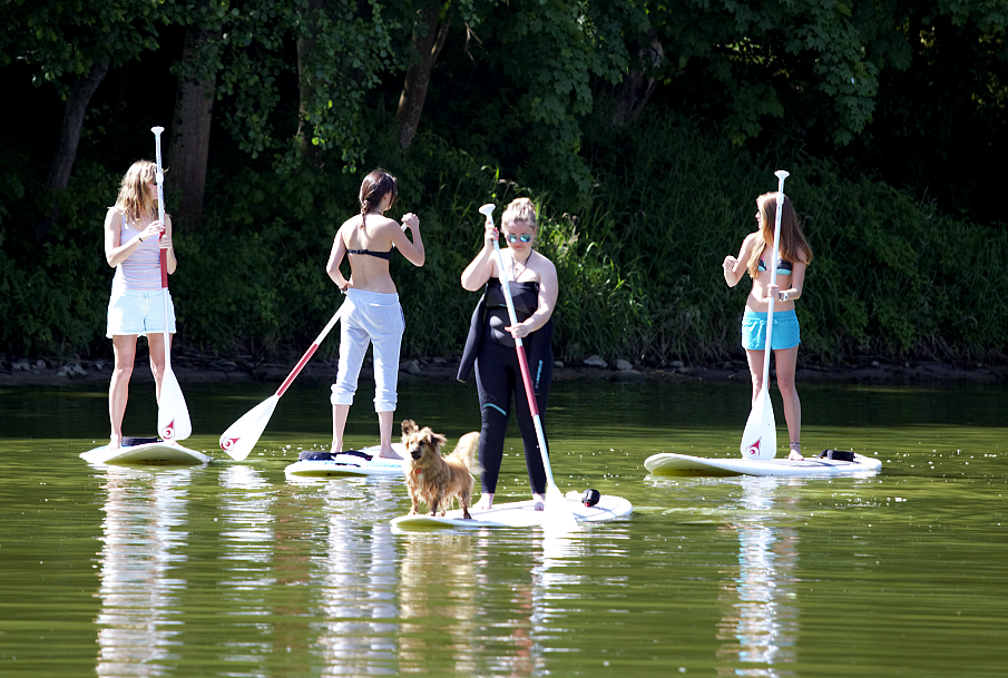 Sieplywa.pl - Windsurfing, Kitesurfing i Surfing w najlepszym wydaniu