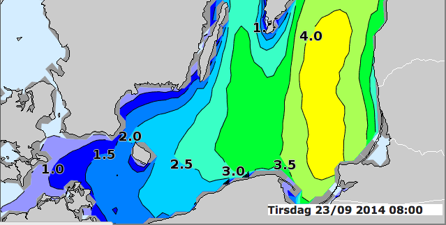 Sieplywa.pl - Windsurfing, Kitesurfing i Surfing w najlepszym wydaniu