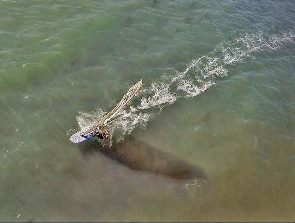 Sieplywa.pl - Windsurfing, Kitesurfing i Surfing w najlepszym wydaniu