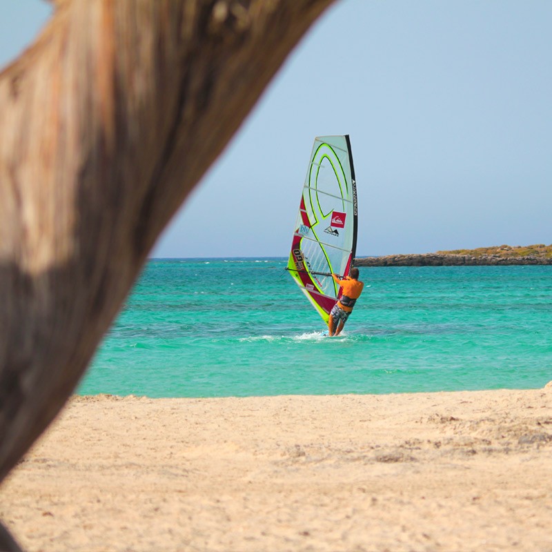 Sieplywa.pl - Windsurfing, Kitesurfing i Surfing w najlepszym wydaniu