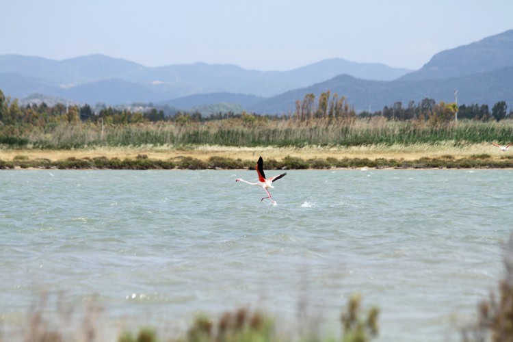 Sieplywa.pl - Windsurfing, Kitesurfing i Surfing w najlepszym wydaniu