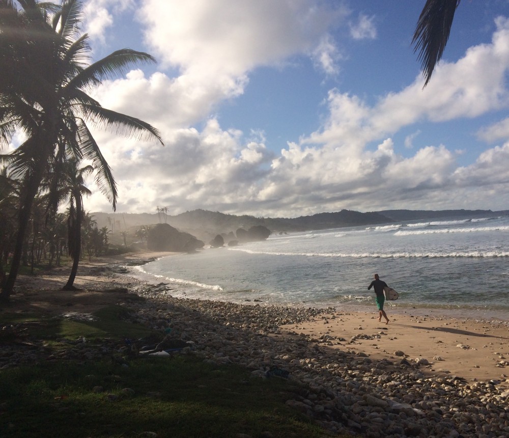 Sieplywa.pl - Windsurfing, Kitesurfing i Surfing w najlepszym wydaniu